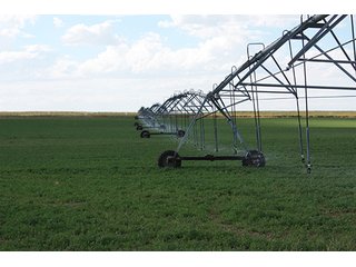 Property photo 26 - LAND AUCTION, 3255+/- Acres offered in 13 Tracts